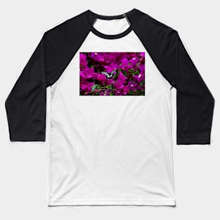 Dingy Swallowtail Baseball T-Shirt